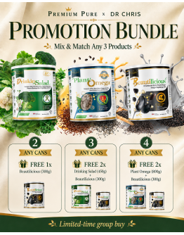 Bundle 1
